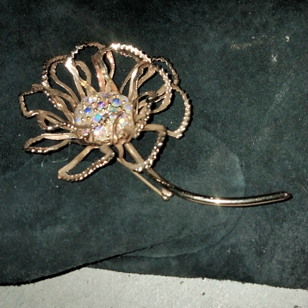 Vintage snd New Brooche